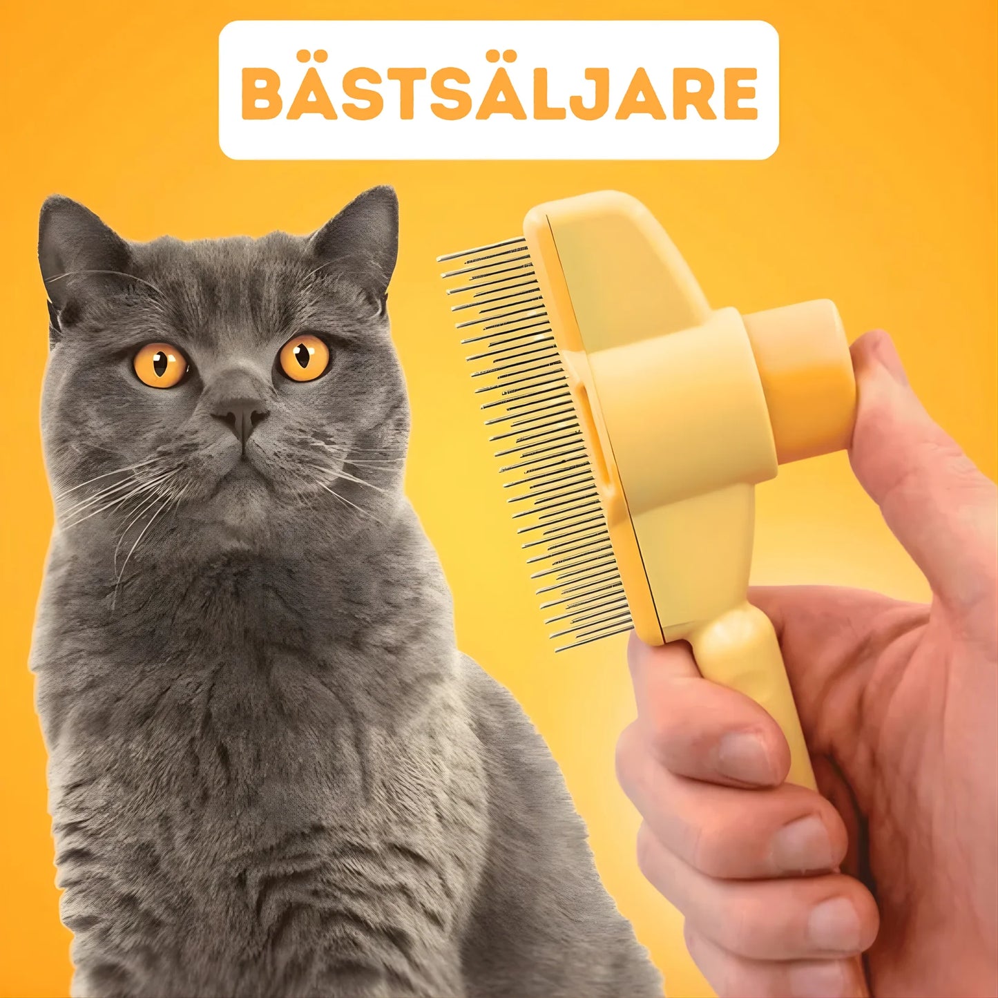 Tammy ™ - Den hetaste kattborsten just nu