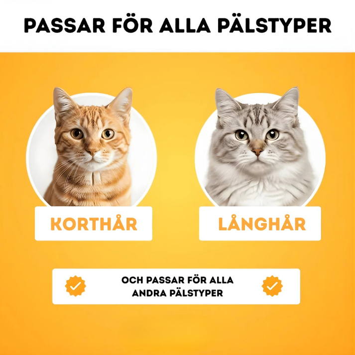 Tammy ™ - Den hetaste kattborsten just nu