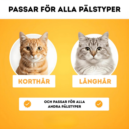 Tammy ™ - Den hetaste kattborsten just nu