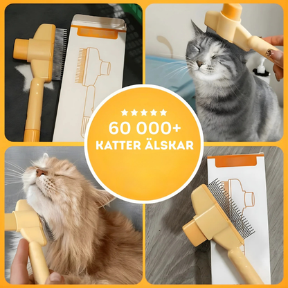 Tammy ™ - Den hetaste kattborsten just nu