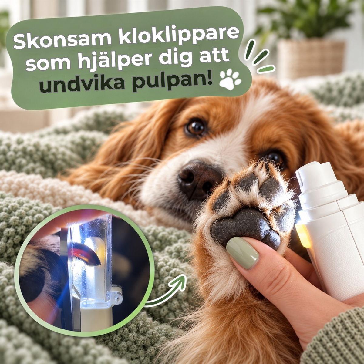 KloCare™ – 2-i-1 Klotrimmer med LED-ljus för Hund & Katt