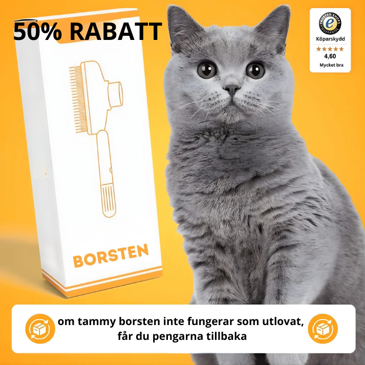 Tammy ™ - Den hetaste kattborsten just nu