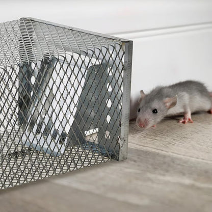 MusStopp MouseTrap – Återanvändbar Icke-Toxisk Säker Och Human Musfälla
